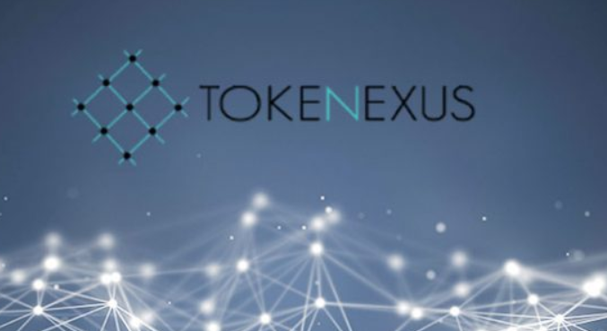 Tokenexus Review 2021