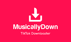 MusicallyDown: Navigating the Realm of TikTok Video Downloads