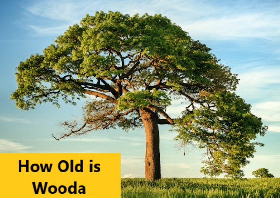 How Old is Wooda: Unraveling the Mysteries of an Ageless Wonder