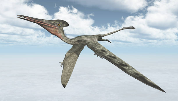 Teradactyl: Unveiling the Mythical Creature and Its Origins
